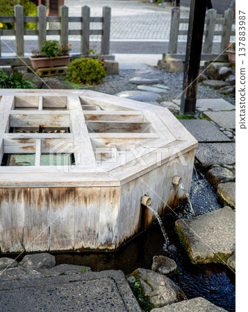 Spring water located in a cobblestone path Spring water located in a cobblestone path 137883987