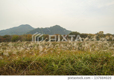 Han River bike path Han River bike path 137884020