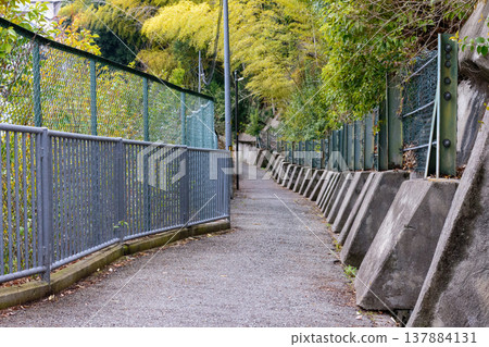 山 山 137884131
