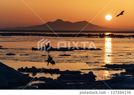 羅臼海，浮冰漂浮其間。 137884136