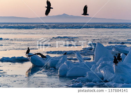 The sea of Rausu, where drift ice floats. The sea of Rausu, where drift ice floats. 137884141