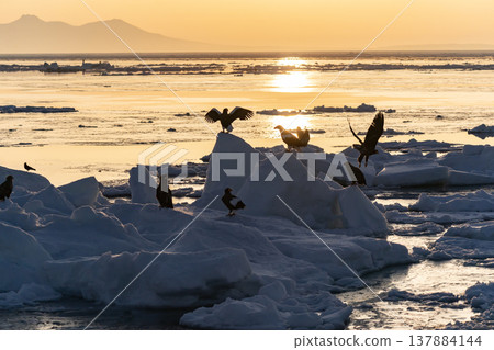 The sea of Rausu, where drift ice floats. The sea of Rausu, where drift ice floats. 137884144
