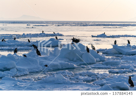The sea of Rausu, where drift ice floats. The sea of Rausu, where drift ice floats. 137884145