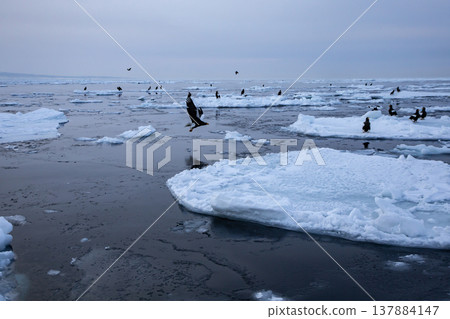 The sea of Rausu, where drift ice floats. 137884147