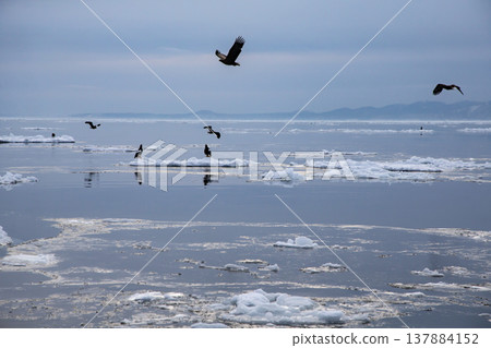 The sea of Rausu, where drift ice floats. The sea of Rausu, where drift ice floats. 137884152