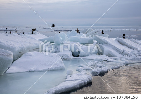 The sea of Rausu, where drift ice floats. 137884156