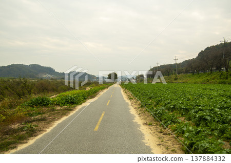 Han River bike path Han River bike path 137884332