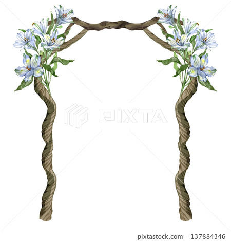 Elegant watercolor illustration of a wedding arch decorated with delicate white alstroemeria flowers. The rustic frame features curved wooden branches, perfect for romantic invitations and floral 137884346
