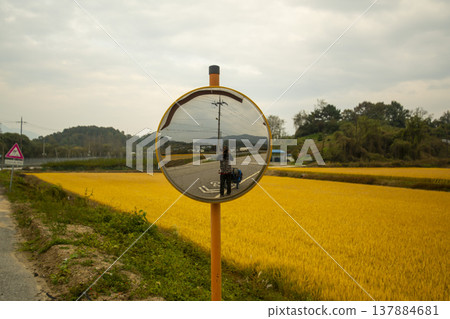 Han River bike path 137884681