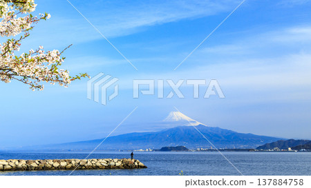 Mount Fuji with its snow-capped peak as seen from Uchiura, Numazu City, in the western part of the Izu Peninsula, across Suruga Bay. Mount Fuji with its snow-capped peak as seen from Uchiura, Numazu City, in the western part of the Izu Peninsula, across Suruga Bay. 137884758