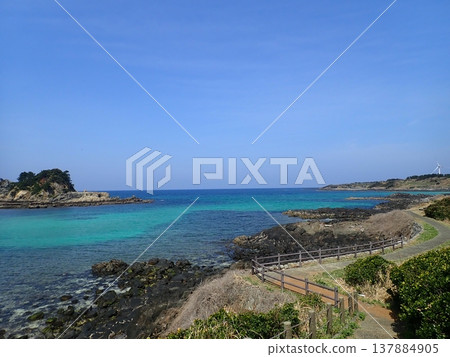 在魚尾崎公園的步道上漫步 137884905