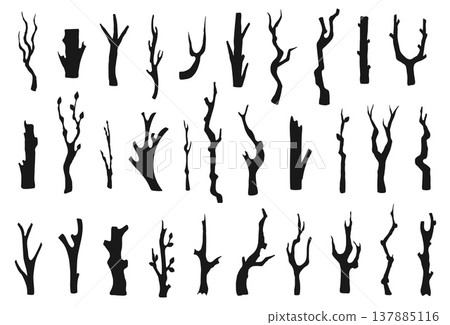 Trees branches trunk and branch tree twig with stump bark leafless. Outline twigs sticks and dry trunks dead with spooky eerie forest. Woodland trees black and silhouette branch organic. Trees branches trunk and branch tree twig with stump bark leafless. Outline twigs sticks and dry trunks dead with spooky eerie forest. Woodland trees black and silhouette branch organic. 137885116