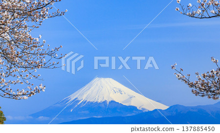 從伊豆半島西部的沼津市西浦，隔著駿河灣，可以看到富士山及其白雪皚皚的山頂。 137885450
