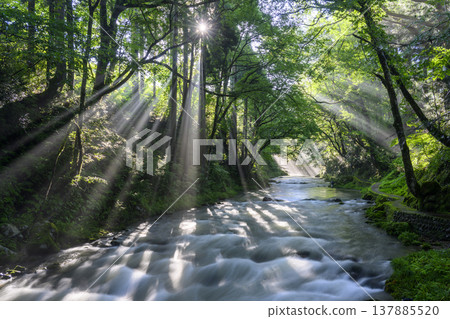 A valley bathed in light A valley bathed in light 137885520