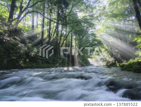 沐浴在陽光下的山谷 沐浴在陽光下的山谷 137885522