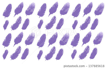 Simple bird feather illustration set Simple bird feather illustration set 137885618