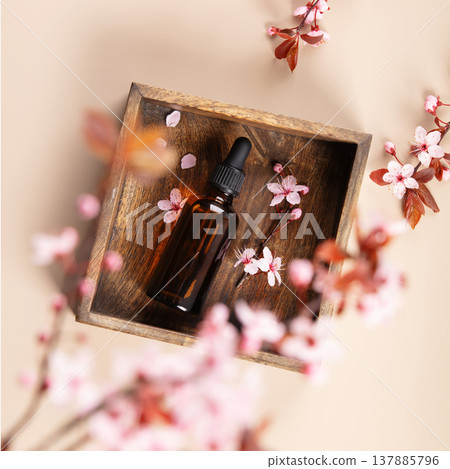 Essential Oil Bottle with Cherry Blossoms in Wooden Tray Essential Oil Bottle with Cherry Blossoms in Wooden Tray 137885796