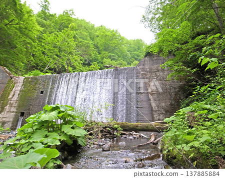 A sediment control dam towering over a mountain stream deep in the mountains. 137885884