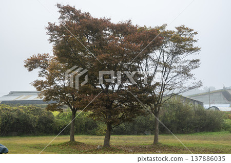 Han River bike path Han River bike path 137886035