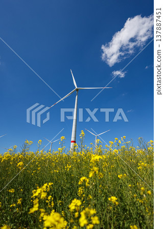 Large windmill turbines in a field with blue sky. Windmill field in the countryside in Europe. 137887451
