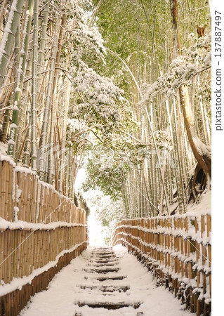 Snow-covered bamboo forest scenery in Hiyodori-zaka, Sakura City, Chiba Prefecture - Ver4 Snow-covered bamboo forest scenery in Hiyodori-zaka, Sakura City, Chiba Prefecture - Ver4 137887497
