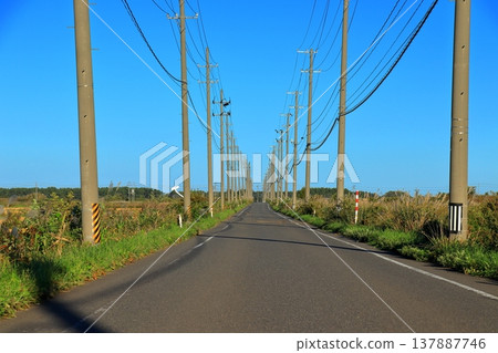 一條鄉村公路,兩旁豎立著電線桿,路面筆直(青森) 一條鄉村公路,兩旁豎立著電線桿,路面筆直(青森) 137887746