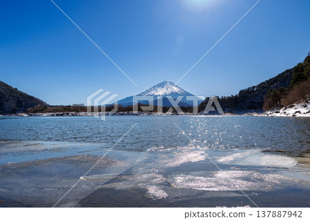山梨縣精進湖初春景色:透過冰封的湖面,可以看到富士山擁抱著它的孩子。 山梨縣精進湖初春景色:透過冰封的湖面,可以看到富士山擁抱著它的孩子。 137887942