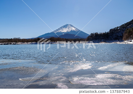 山梨縣精進湖初春景色:透過冰封的湖面,可以看到富士山擁抱著它的孩子。 山梨縣精進湖初春景色:透過冰封的湖面,可以看到富士山擁抱著它的孩子。 137887943