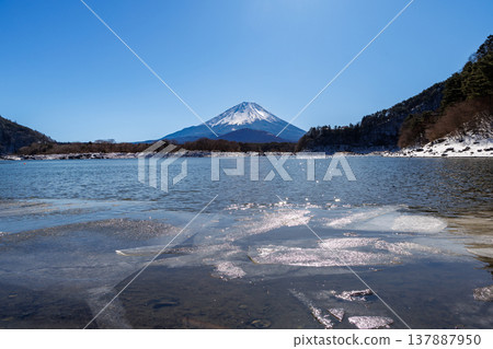Early spring scenery of Lake Shoji: Mount Fuji embracing its child seen through the frozen lake surface, Yamanashi Prefecture 137887950
