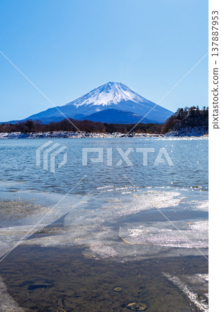 山梨縣精進湖初春景色:透過冰封的湖面,可以看到富士山擁抱著它的孩子。 山梨縣精進湖初春景色:透過冰封的湖面,可以看到富士山擁抱著它的孩子。 137887953