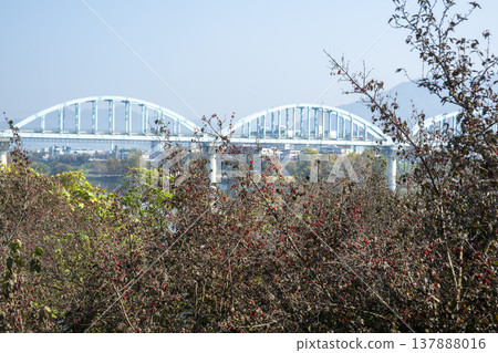 Han River bike path Han River bike path 137888016