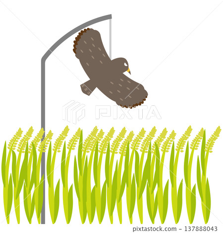 Image material for bird damage prevention measures using bird-repellent kites installed in rice paddies. 137888043