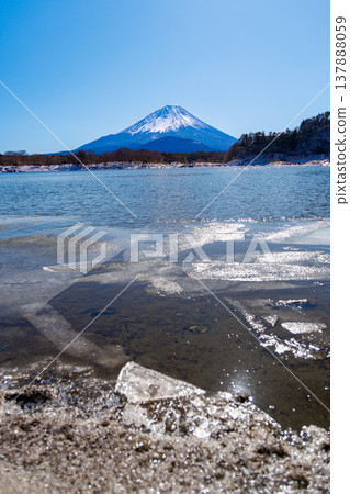 山梨縣精進湖初春景色:透過冰封的湖面,可以看到富士山擁抱著它的孩子。 山梨縣精進湖初春景色:透過冰封的湖面,可以看到富士山擁抱著它的孩子。 137888059