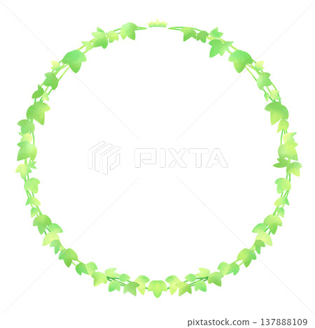 Green leaf frame / vine 137888109
