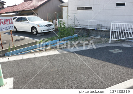 A field the size of a cat's forehead A field the size of a cat's forehead 137888219