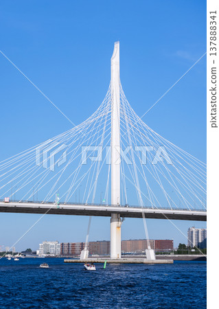 A modern cable-stayed bridge, Saint Petersburg, Russia A modern cable-stayed bridge, Saint Petersburg, Russia 137888341