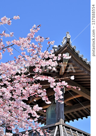 A Walk Through Iwatsuki: The Bell Tower 137888554