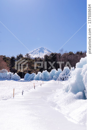 Saiko Wild Bird Forest Park, Saiko Ice Tree Festival, Fujikawaguchiko Town Saiko Wild Bird Forest Park, Saiko Ice Tree Festival, Fujikawaguchiko Town 137888684