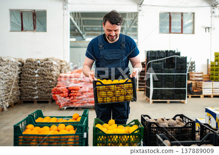 Warehouse worker sorting fresh produce in storage facility Warehouse worker sorting fresh produce in storage facility 137889009