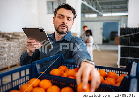 Man checking oranges inventory with digital tablet in warehouse Man checking oranges inventory with digital tablet in warehouse 137889015