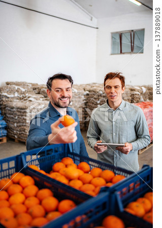 Men inspecting oranges in warehouse for quality control Men inspecting oranges in warehouse for quality control 137889018