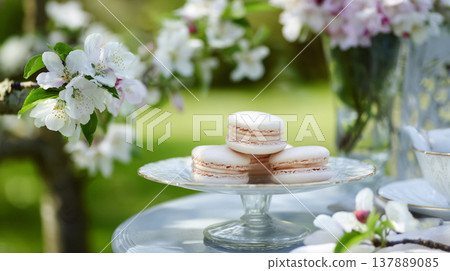 Delicate macarons stacking on a glass cake stand, enjoying spring garden party ambiance with blooming apple blossoms 137889085