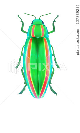珠寶甲蟲的插圖 137889255