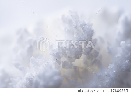 snow on the ground 137889285