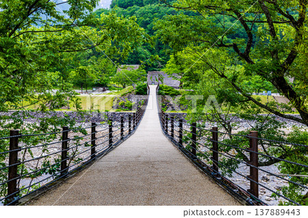 岐阜縣白川鄉的風景 137889443
