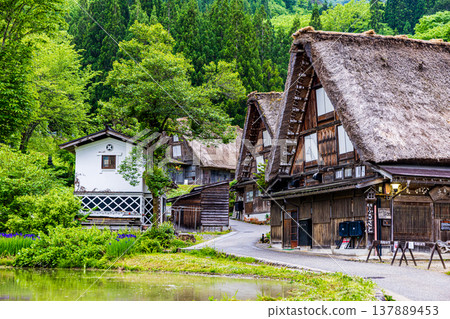 岐阜縣白川鄉的風景 137889453