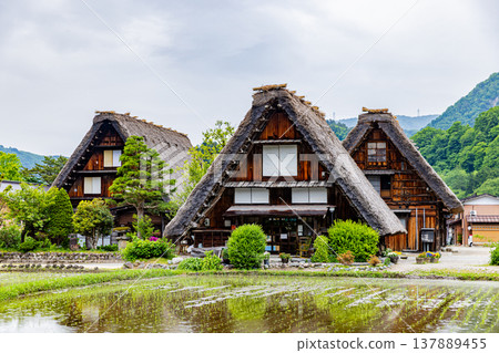 岐阜縣白川鄉的風景 137889455