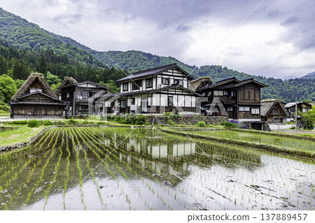 Scenery of Shirakawa-go, Gifu Prefecture Scenery of Shirakawa-go, Gifu Prefecture 137889457