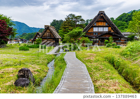 岐阜縣白川鄉的風景 137889463