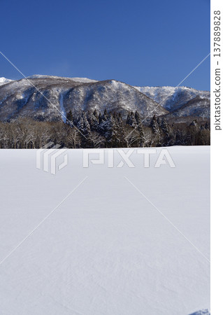 初春時節,我在北海道乙部町拍攝了雪景。 初春時節,我在北海道乙部町拍攝了雪景。 137889828
